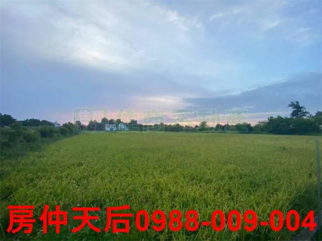 苗栗後龍農地-0